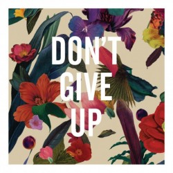 pigmag_Washed-Out-Dont-Give-Up1